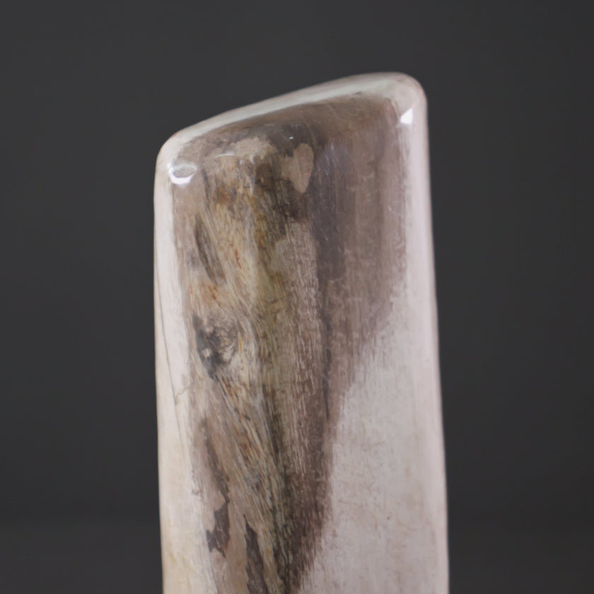Polished Petrified Wood Freeform on a custom stand PetW/109