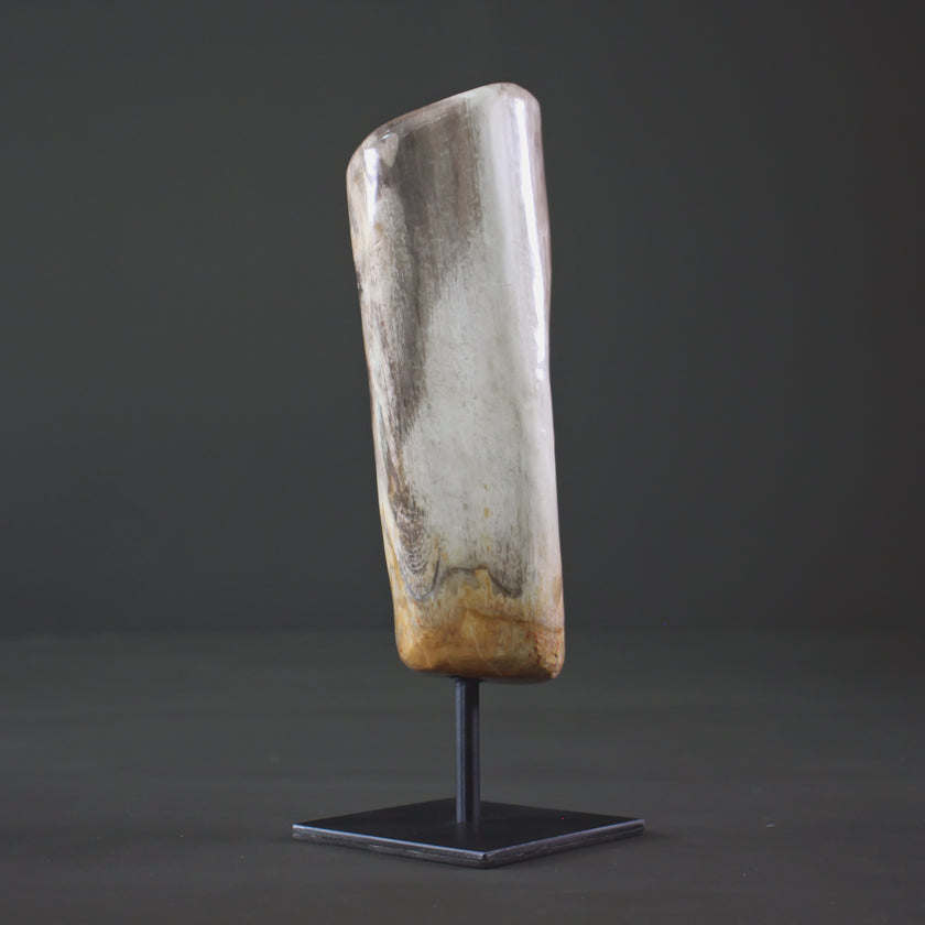 Polished Petrified Wood Freeform on a custom stand PetW/109