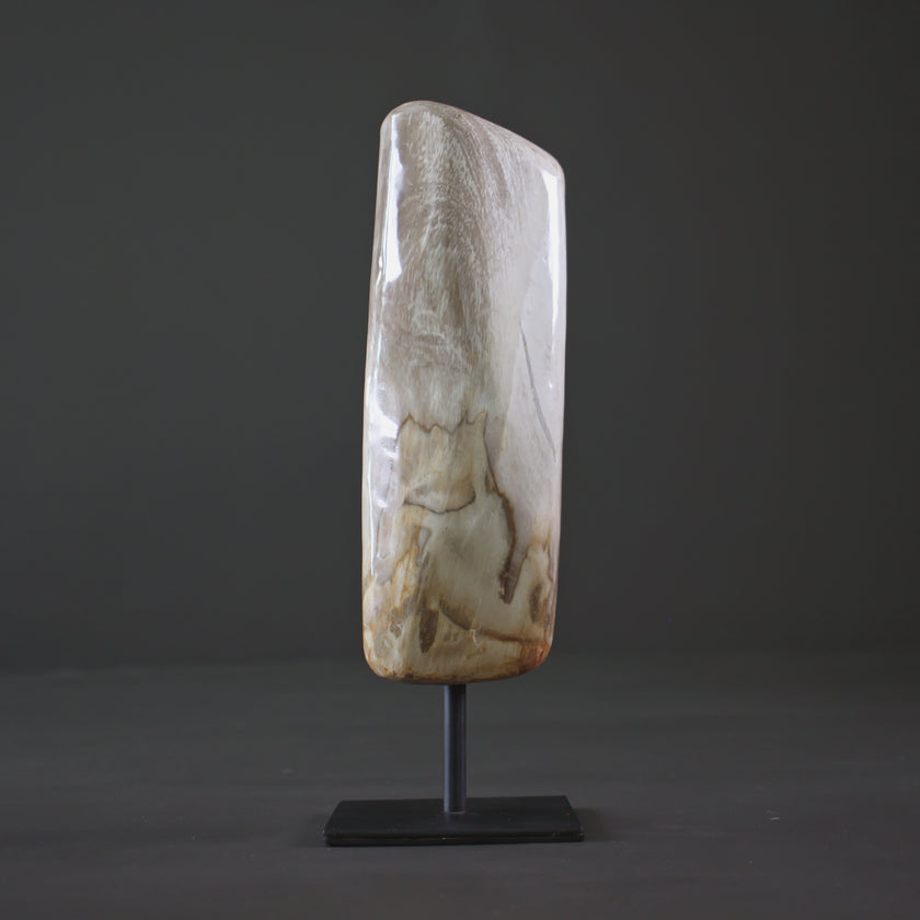 Polished Petrified Wood Freeform on a custom stand PetW/109