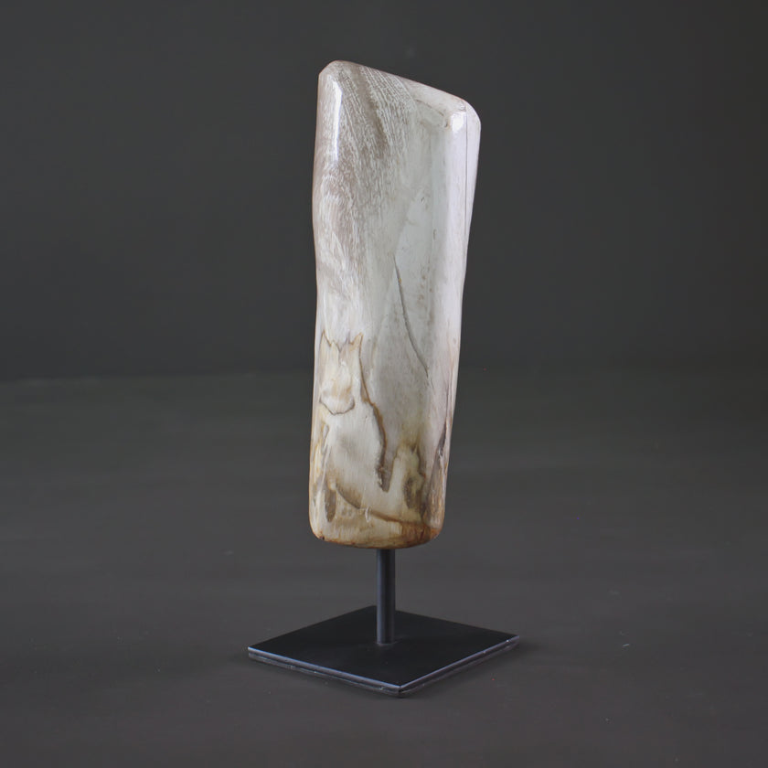 Polished Petrified Wood Freeform on a custom stand PetW/109