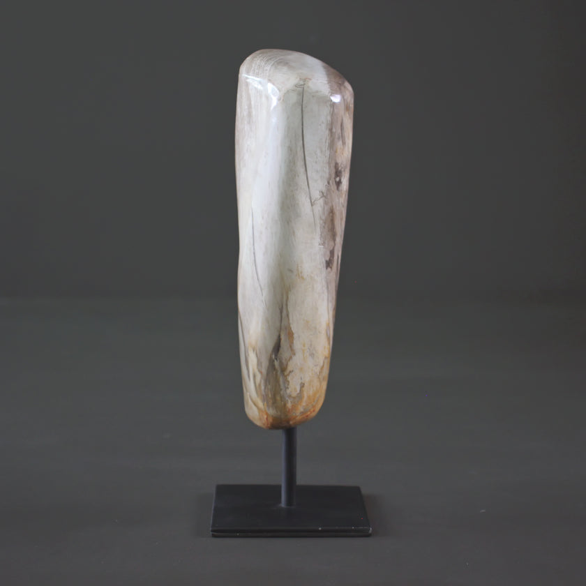 Polished Petrified Wood Freeform on a custom stand PetW/109