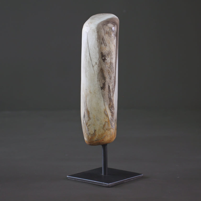 Polished Petrified Wood Freeform on a custom stand PetW/109