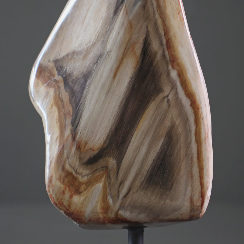 Polished Petrified Wood Freeform on a custom stand PetW/111