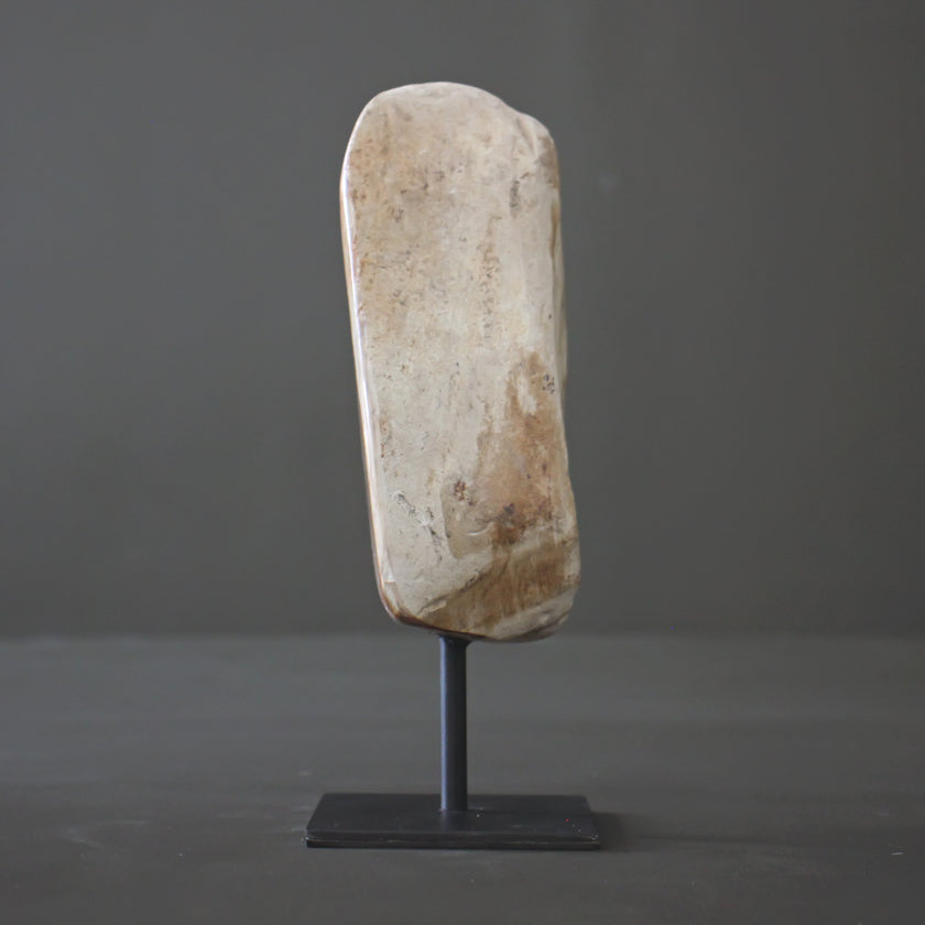 Polished Petrified Wood Freeform on a custom stand PetW/111