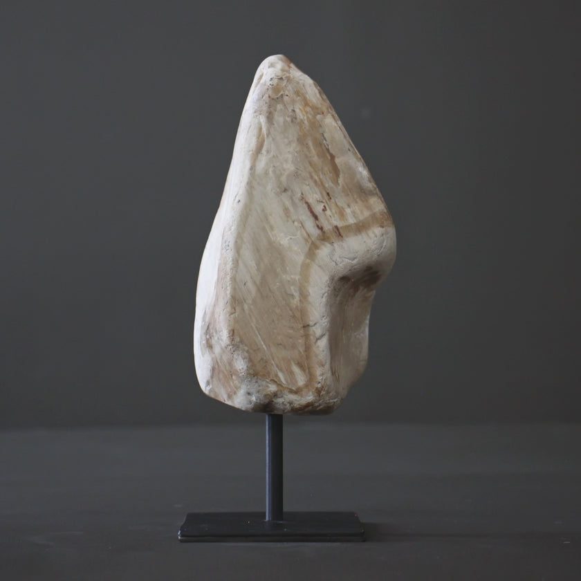 Polished Petrified Wood Freeform on a custom stand PetW/111