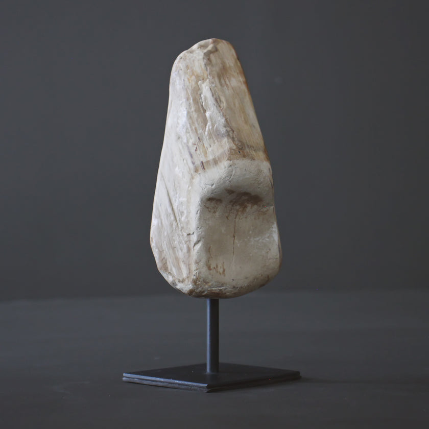 Polished Petrified Wood Freeform on a custom stand PetW/111