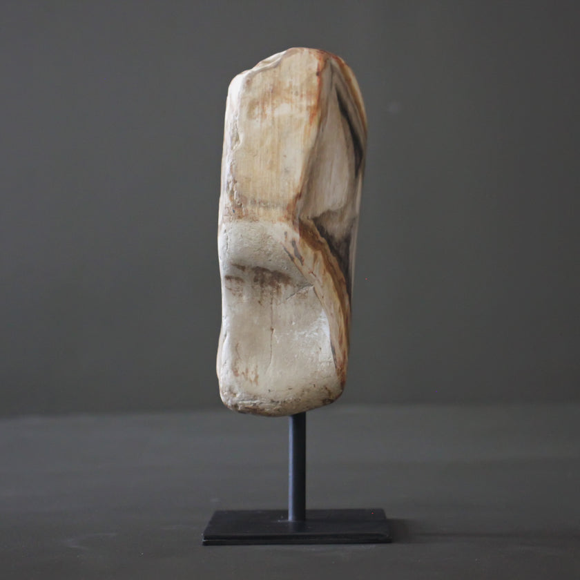 Polished Petrified Wood Freeform on a custom stand PetW/111