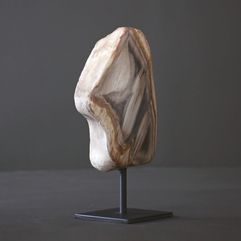 Polished Petrified Wood Freeform on a custom stand PetW/111