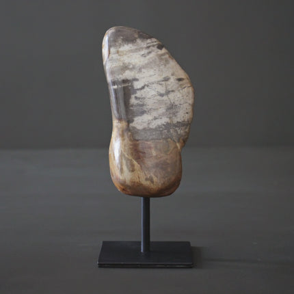 Polished Petrified Wood Freeform on a custom stand PetW/108