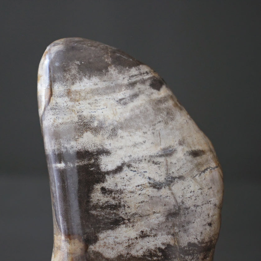 Polished Petrified Wood Freeform on a custom stand PetW/108
