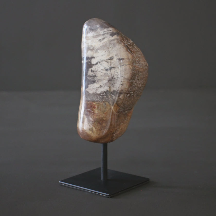 Polished Petrified Wood Freeform on a custom stand PetW/108