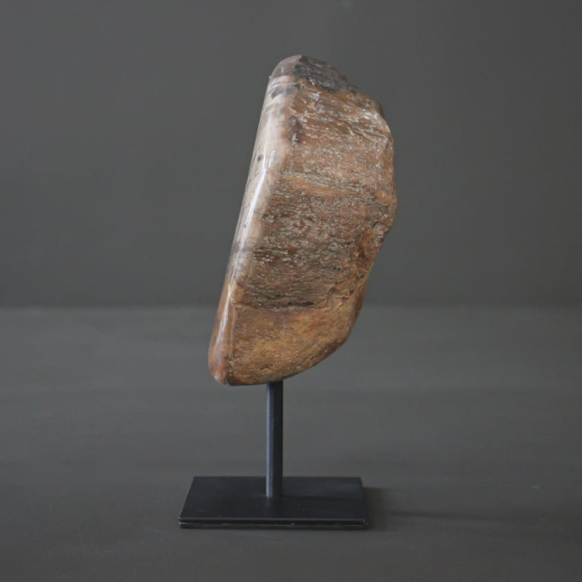 Polished Petrified Wood Freeform on a custom stand PetW/108