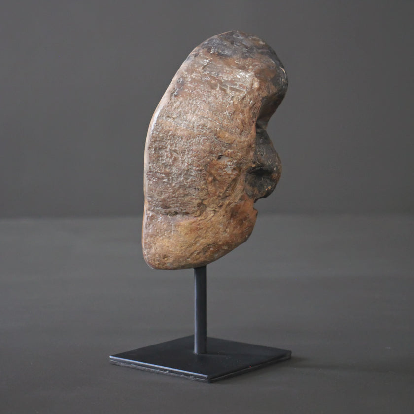 Polished Petrified Wood Freeform on a custom stand PetW/108