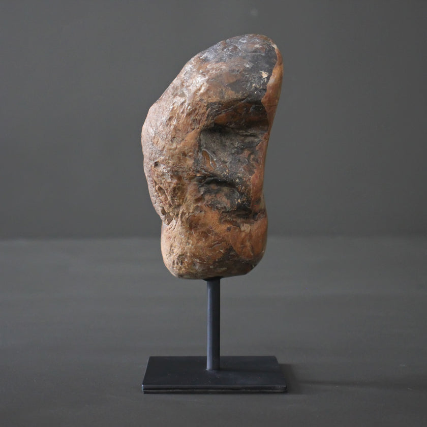 Polished Petrified Wood Freeform on a custom stand PetW/108
