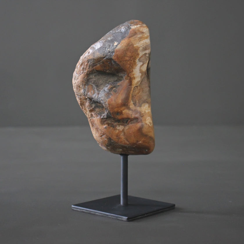 Polished Petrified Wood Freeform on a custom stand PetW/108