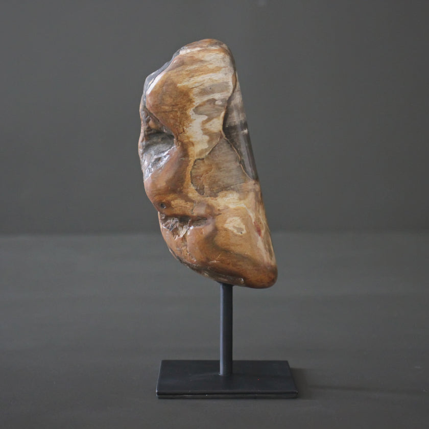 Polished Petrified Wood Freeform on a custom stand PetW/108