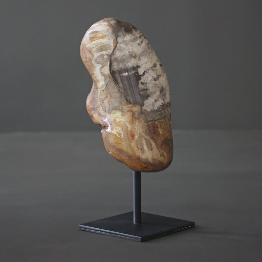 Polished Petrified Wood Freeform on a custom stand PetW/108