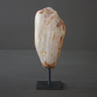 Polished Petrified Wood Freeform on a custom stand PetW/105