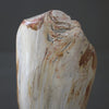 Polished Petrified Wood Freeform on a custom stand PetW/105