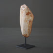 Polished Petrified Wood Freeform on a custom stand PetW/105