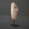 Polished Petrified Wood Freeform on a custom stand PetW/105