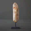 Polished Petrified Wood Freeform on a custom stand PetW/105