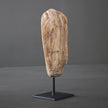 Polished Petrified Wood Freeform on a custom stand PetW/105