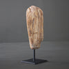 Polished Petrified Wood Freeform on a custom stand PetW/105