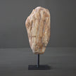 Polished Petrified Wood Freeform on a custom stand PetW/105