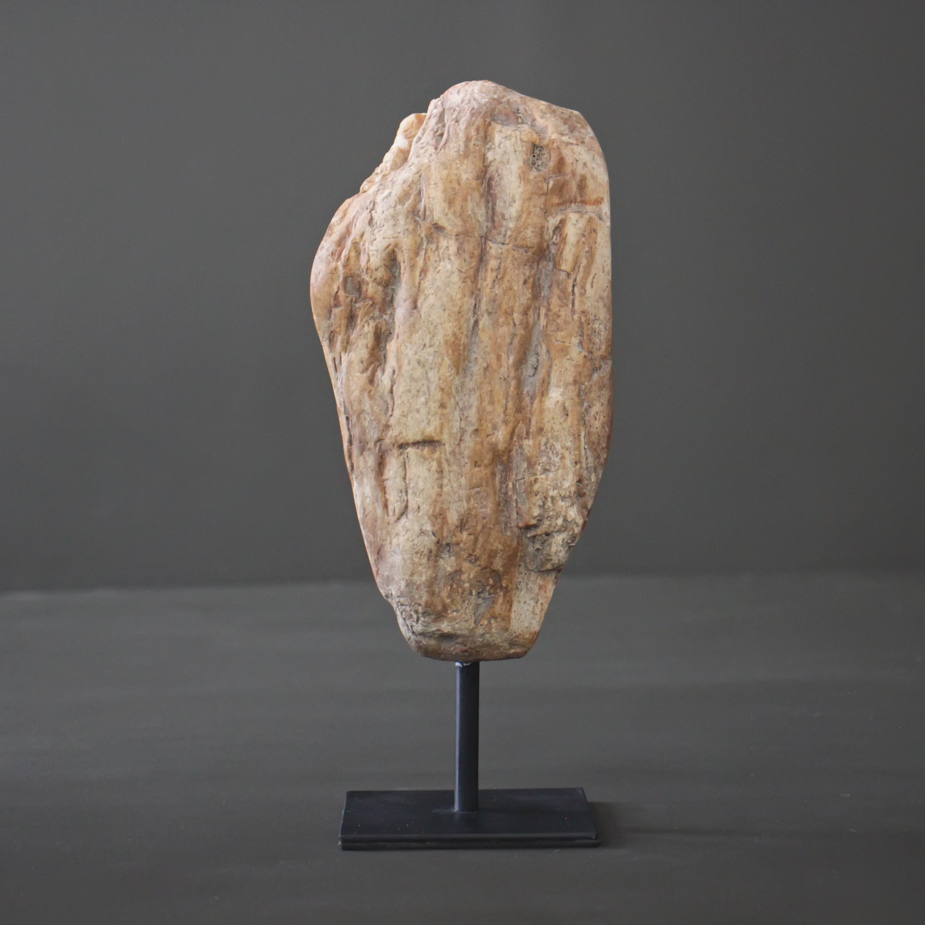 Polished Petrified Wood Freeform on a custom stand PetW/105