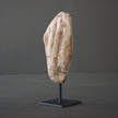 Polished Petrified Wood Freeform on a custom stand PetW/105