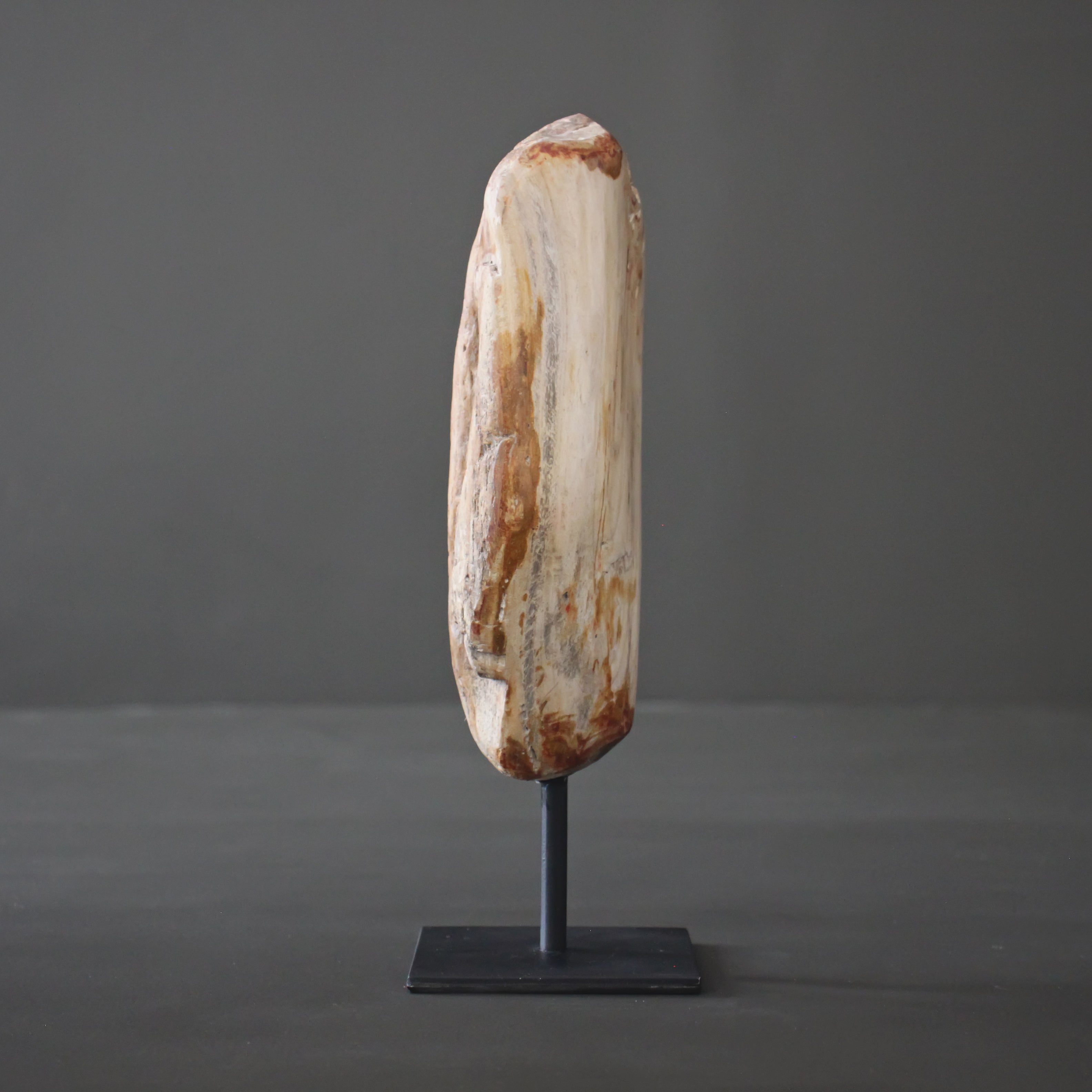 Polished Petrified Wood Freeform on a custom stand PetW/105