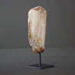 Polished Petrified Wood Freeform on a custom stand PetW/105