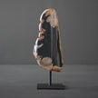 Polished Petrified Wood Freeform on a custom stand PetW/103