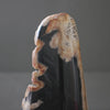 Polished Petrified Wood Freeform on a custom stand PetW/103