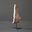 Polished Petrified Wood Freeform on a custom stand PetW/103