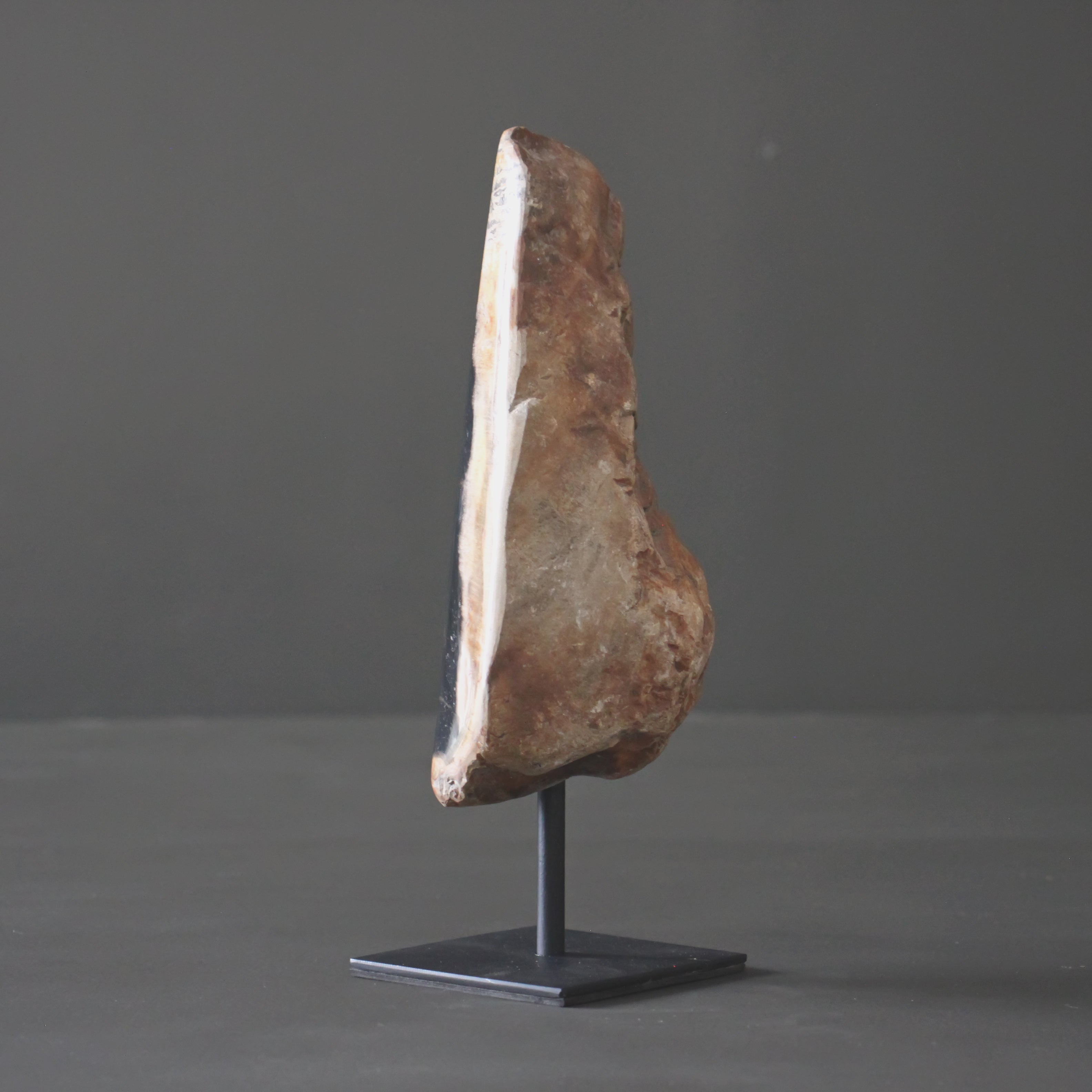 Polished Petrified Wood Freeform on a custom stand PetW/103