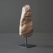 Polished Petrified Wood Freeform on a custom stand PetW/103