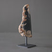 Polished Petrified Wood Freeform on a custom stand PetW/103