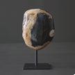 Polished Petrified Wood Freeform on a custom stand PetW/112