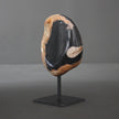 Polished Petrified Wood Freeform on a custom stand PetW/112