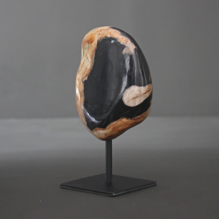 Polished Petrified Wood Freeform on a custom stand PetW/112