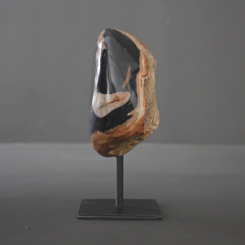 Polished Petrified Wood Freeform on a custom stand PetW/112
