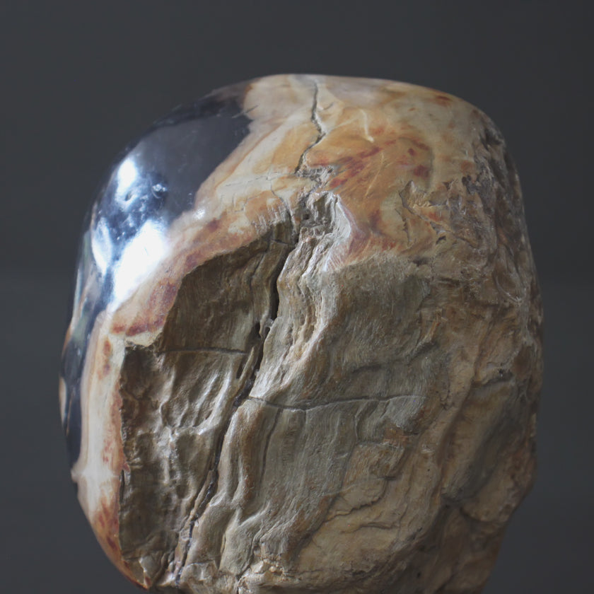 Polished Petrified Wood Freeform on a custom stand PetW/112