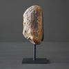 Polished Petrified Wood Freeform on a custom stand PetW/112