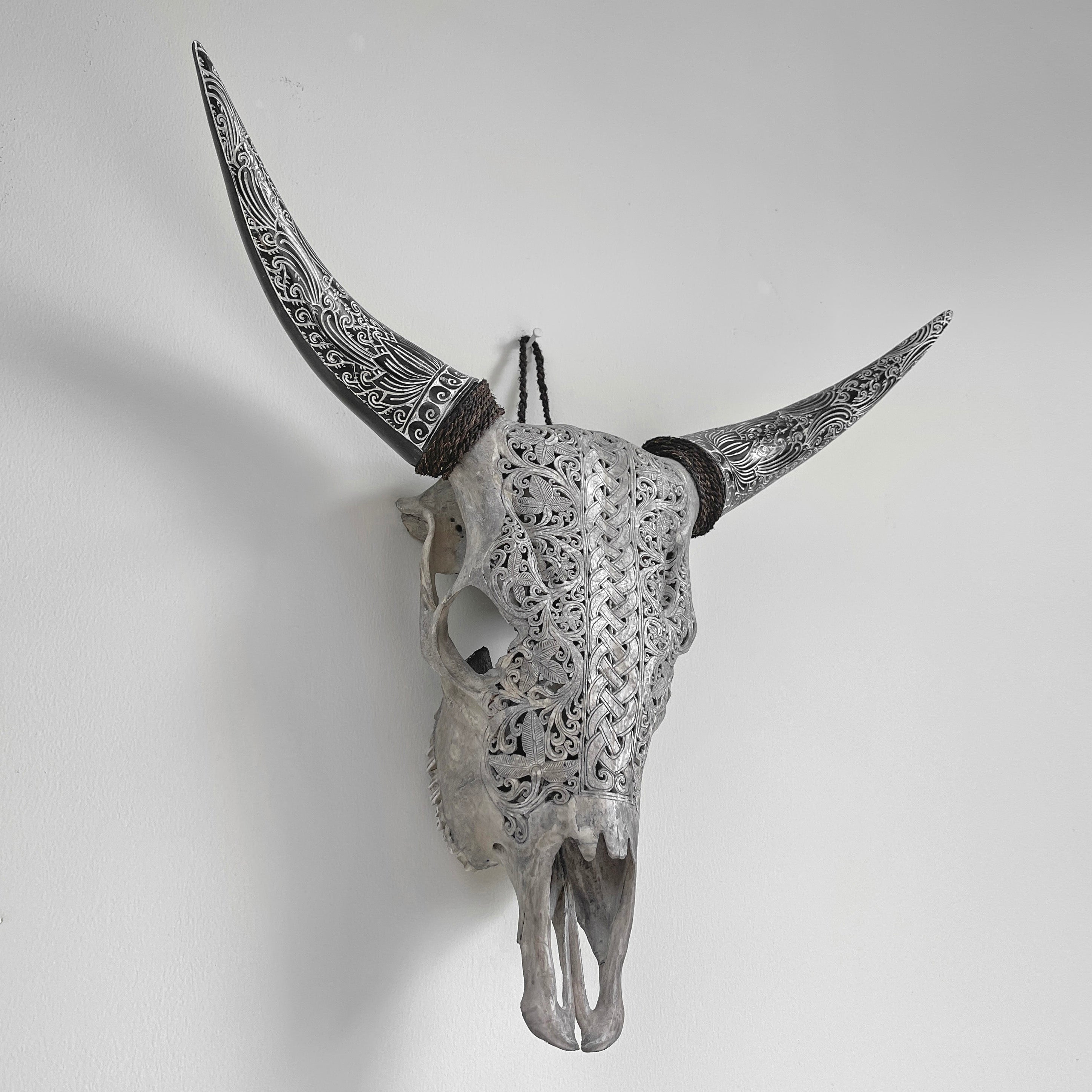 Real Carved Cow Skull with Carved Horns 22/EX/331