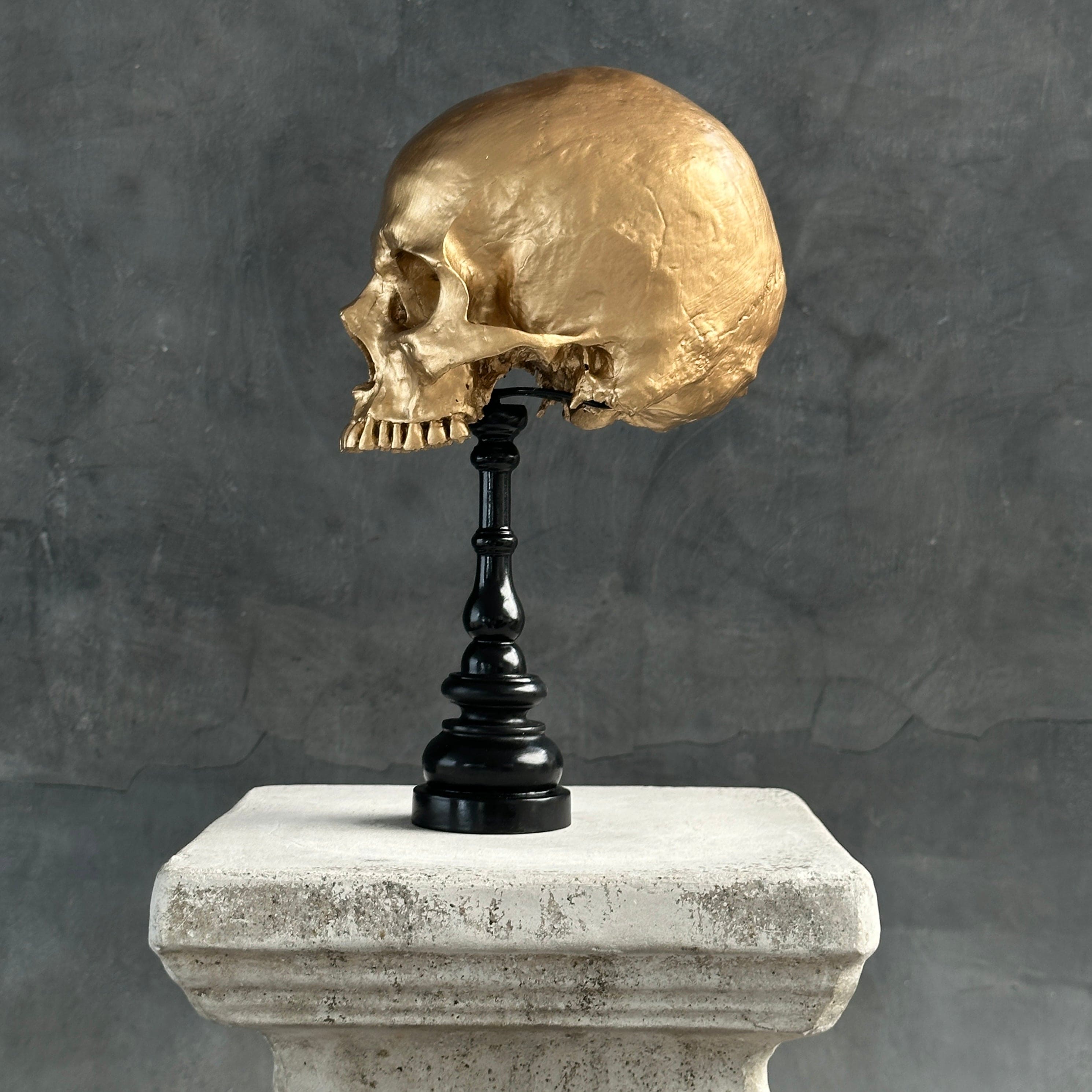 Human Skull No Jaw Gold  - RS030