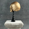 Human Skull No Jaw Gold  - RS030