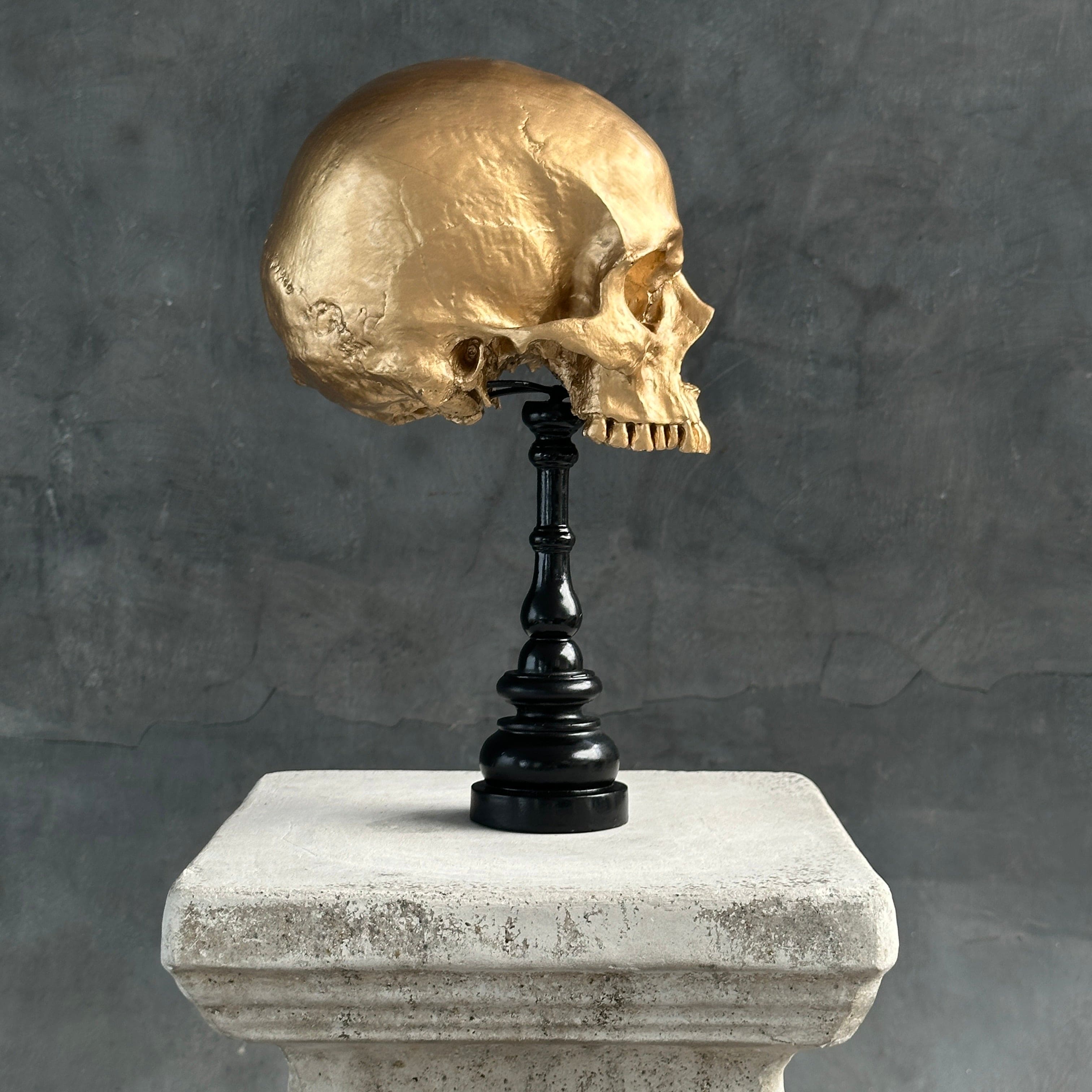 Human Skull No Jaw Gold  - RS030