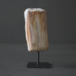 Polished Petrified Wood Freeform on a custom stand PetW/106